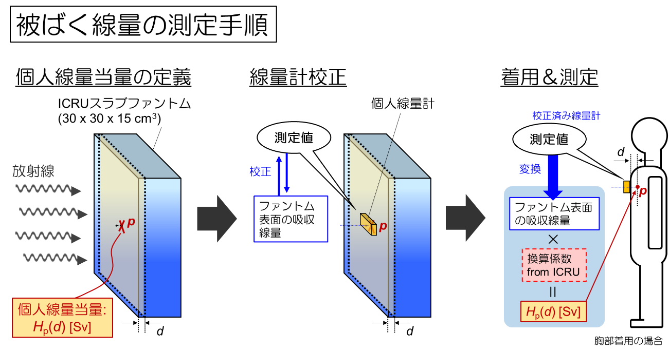 被ばく線量の測定手順