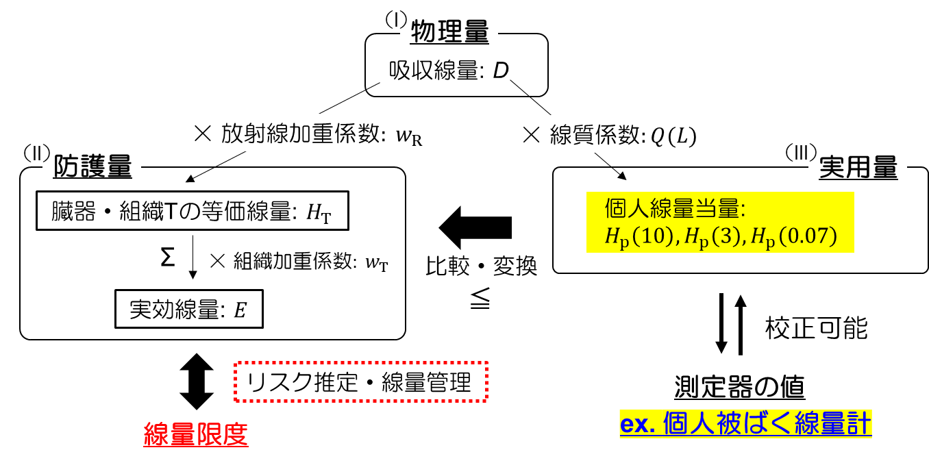 放射線の量と単位