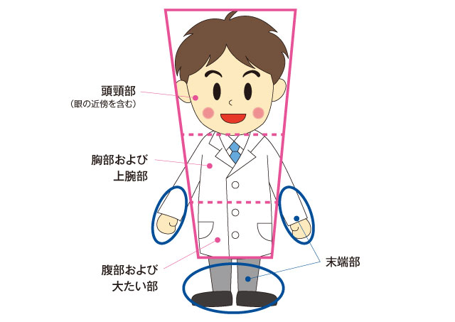 着用部位について