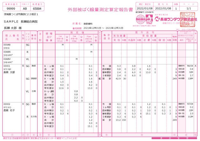 報告書の見方