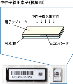 中性子バッジ